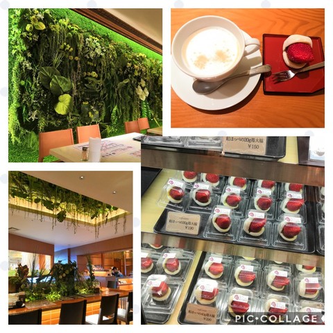 Collage202019-04-122022_44_01.jpg