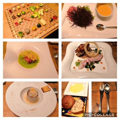 Collage202019-08-172020_14_19.jpg