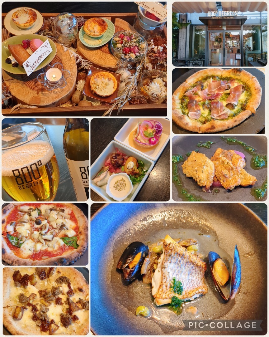 グルメさん専用 One milk One cow ジェラート6種セット: せとうちエリア│DISCOVER