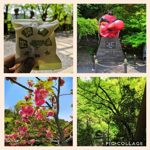 Collage202019-05-292008_40_05.jpg