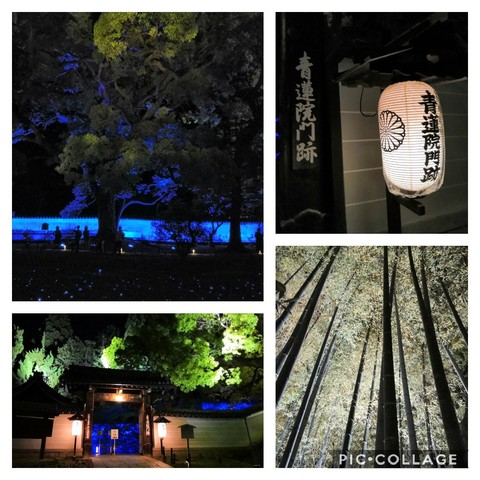 Collage202019-08-032021_51_00.jpg